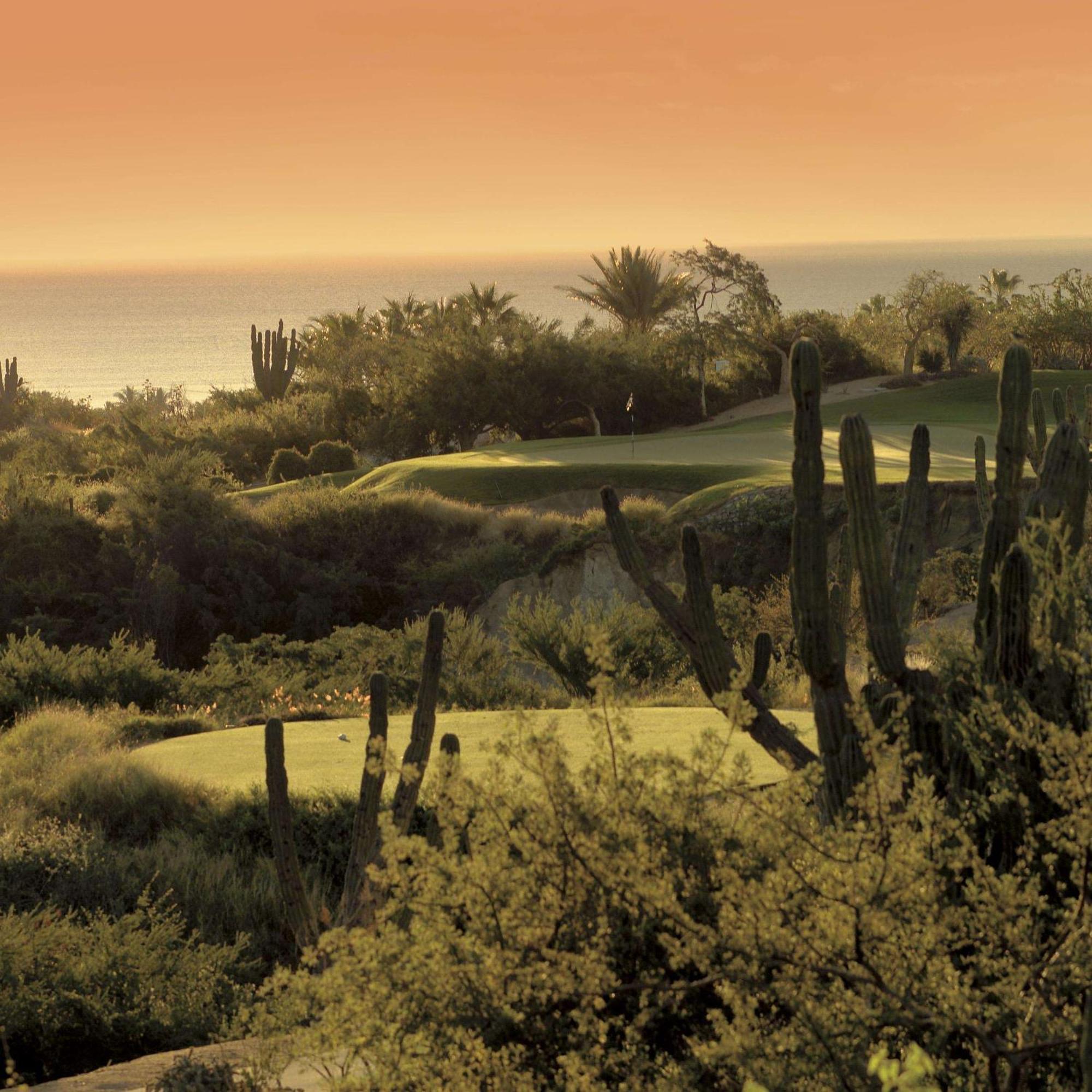 One&Only Palmilla Hotel San Jose del Cabo Exterior photo